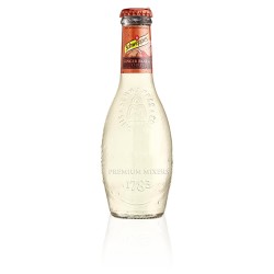 Schweppes Premium Mixers Ginger Beer & Chile