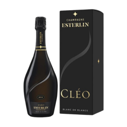 Champagne Cléo · Wonderful Wines