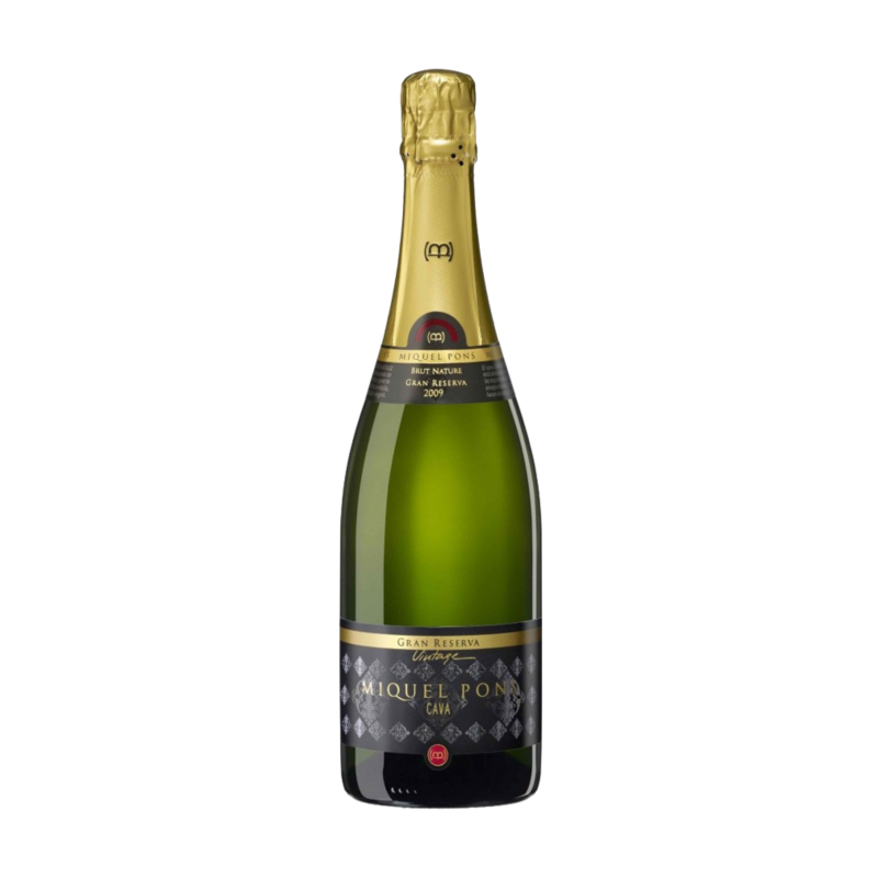 Cava Miquel Pons Vintage · Wonderful Wines