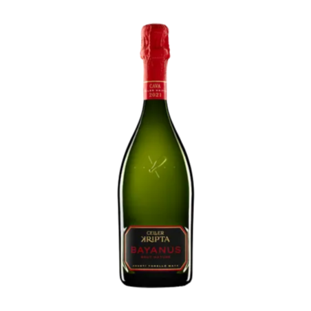 Kripta Bayanus · Wonderful Wines