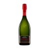 Kripta Bayanus · Wonderful Wines