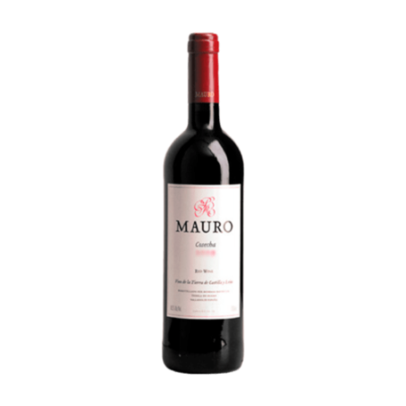 Mauro | Vi Negre V.T. Castilla y León | Wonderful Wines