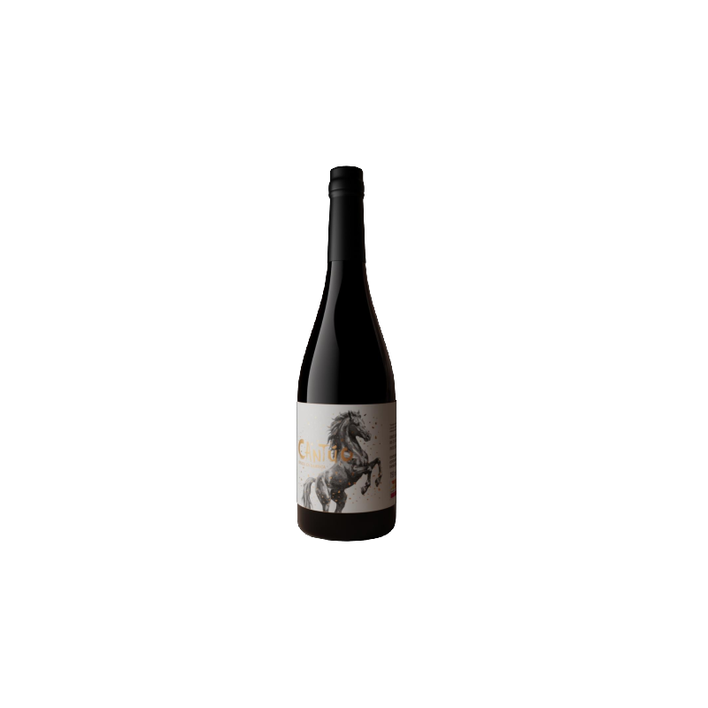 Cantúo | Red Wine D.O. Sierras de Málaga | Wonderful Wines