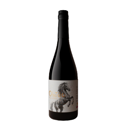Cantúo | Red Wine D.O. Sierras de Málaga | Wonderful Wines