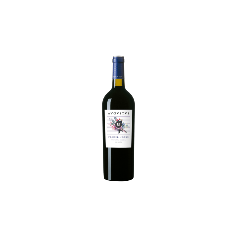 Avgvstvs Primer Negre red wine, Syrah and Merlot blend, DO Penedes, young and fruity wine