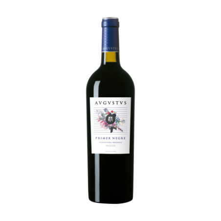 Avgvstvs Primer Negre red wine, Syrah and Merlot blend, DO Penedes, young and fruity wine