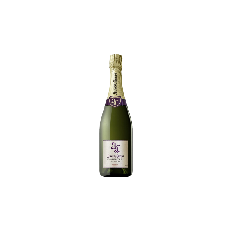 Juvé & Camps Essential Púrpura | Reserva Brut | Wonderful Wines