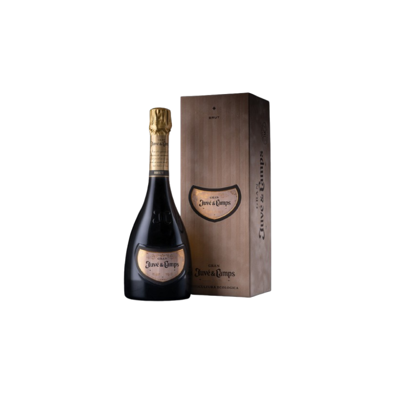 Gran Juvé & Camps | El Espumoso de Culto Gran Reserva | Wonderful Wines