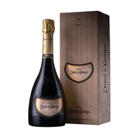 Gran Juvé & Camps | El Espumoso de Culto Gran Reserva | Wonderful Wines