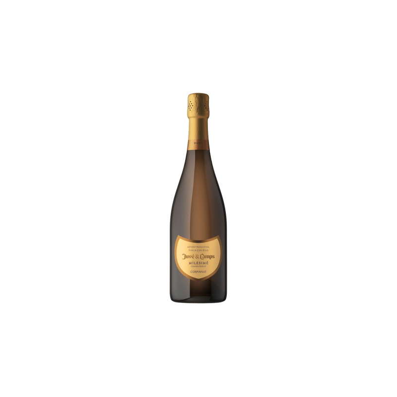 Juvé & Camps Milesimé Chardonnay | Gran Reserva Brut | Wonderful Wines