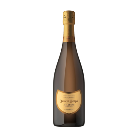 Juvé & Camps Milesimé Chardonnay | Gran Reserva Brut | Wonderful Wines
