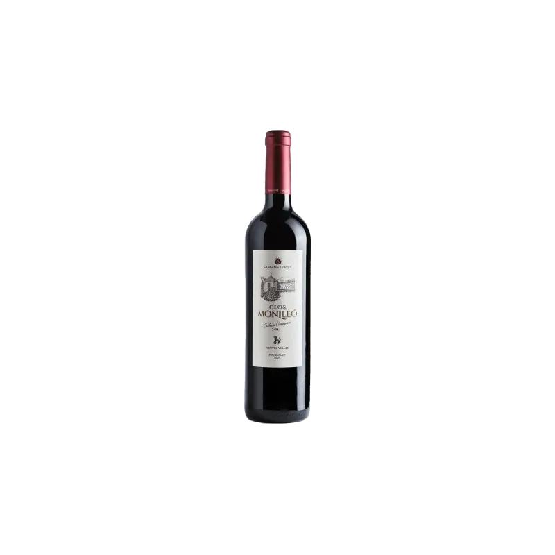 Clos Monlleó - Sangenís i Vaqué | Premium DOQ Priorat Wine