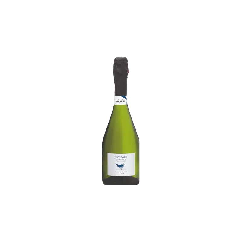 Rossinyol Brut Nature - Carol Vallès | Organic Cava - Wonderful Wines