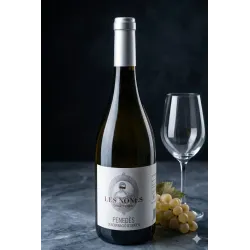 Les Nones Gewürztraminer | White DO Penedès - Wonderful Wines