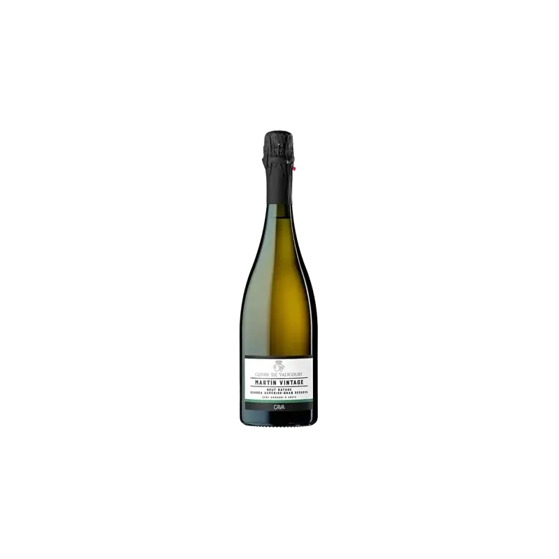 Conde de Valicourt Martín Vintage | +66 Months Cava | Wonderful Wines