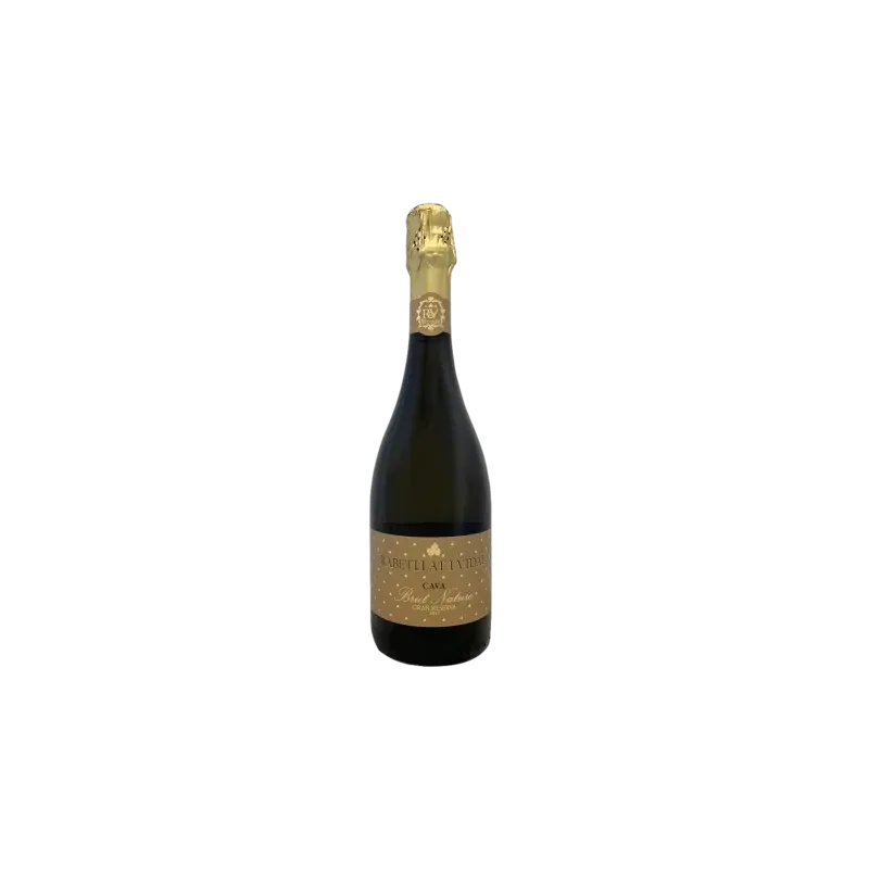 Rabetllat i Vidal Gran Reserva Brut Nature | Wonderful Wines