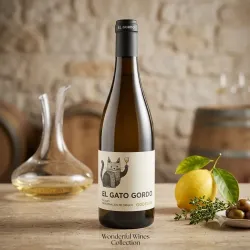El Gato Gordo Godello | Vi Blanc DO Bierzo | Wonderful Wines