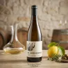 El Gato Gordo Godello | Vi Blanc DO Bierzo | Wonderful Wines