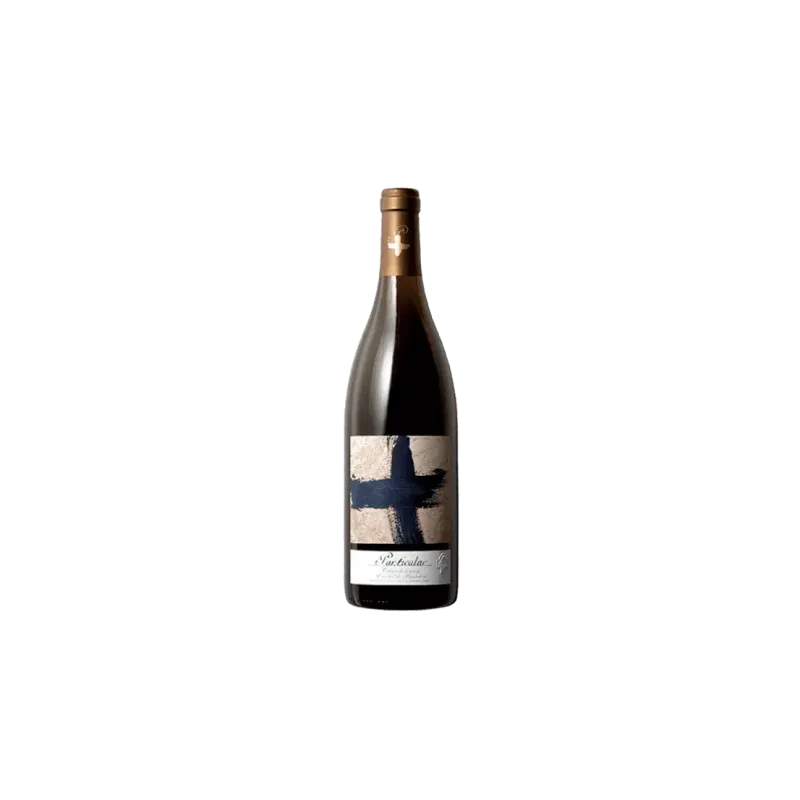 Particular Chardonnay | DO Cariñena White Wine | Wonderful Wines