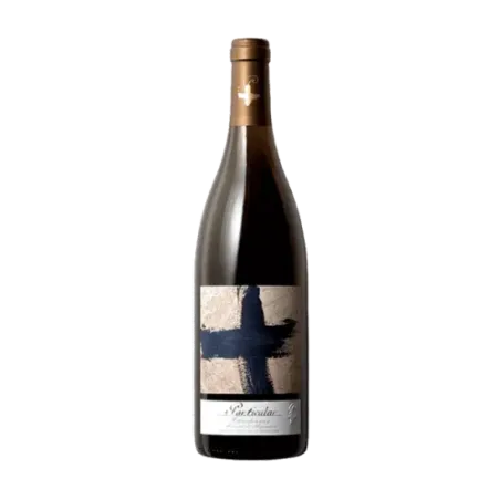 Particular Chardonnay | DO Cariñena White Wine | Wonderful Wines