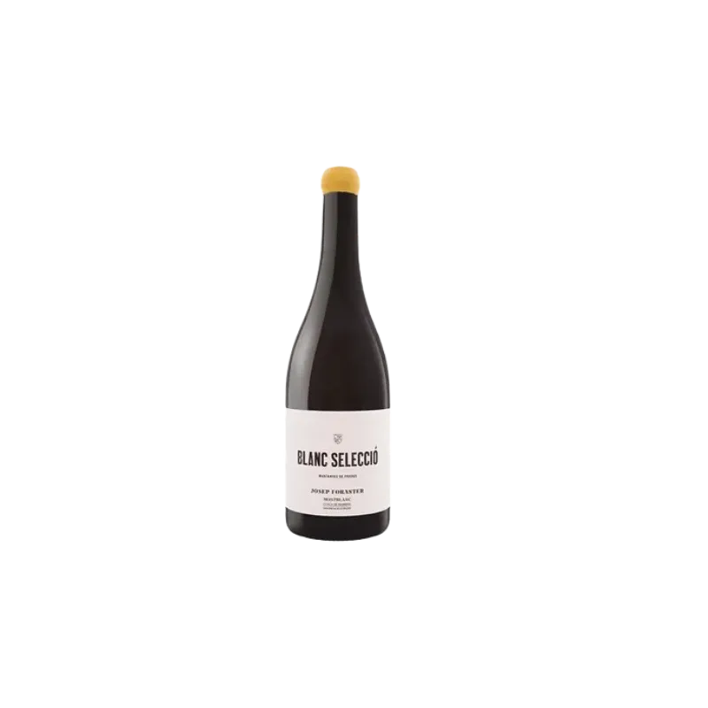 Josep Foraster Selecció Blanco | Vino DO Conca de Barberà | Wonderful Wines