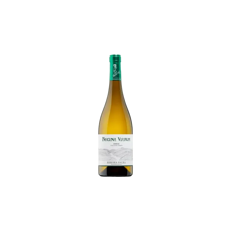 Regina Viarium Godello Ribeira Sacra | Wonderful Wines