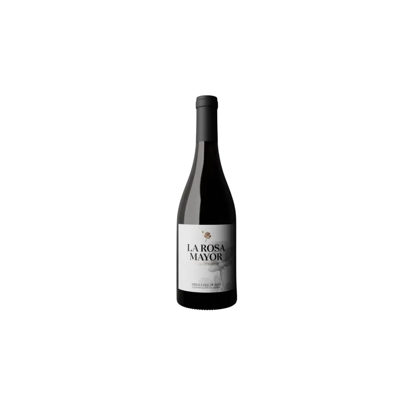 Rosa Mayor Albillo Mayor Ribera del Duero | Wonderful Wines