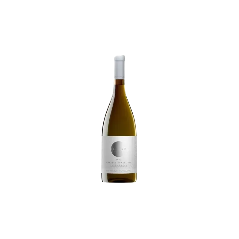 O Luar do Sil Godello sobre Lías Valdeorras | Wonderful Wines