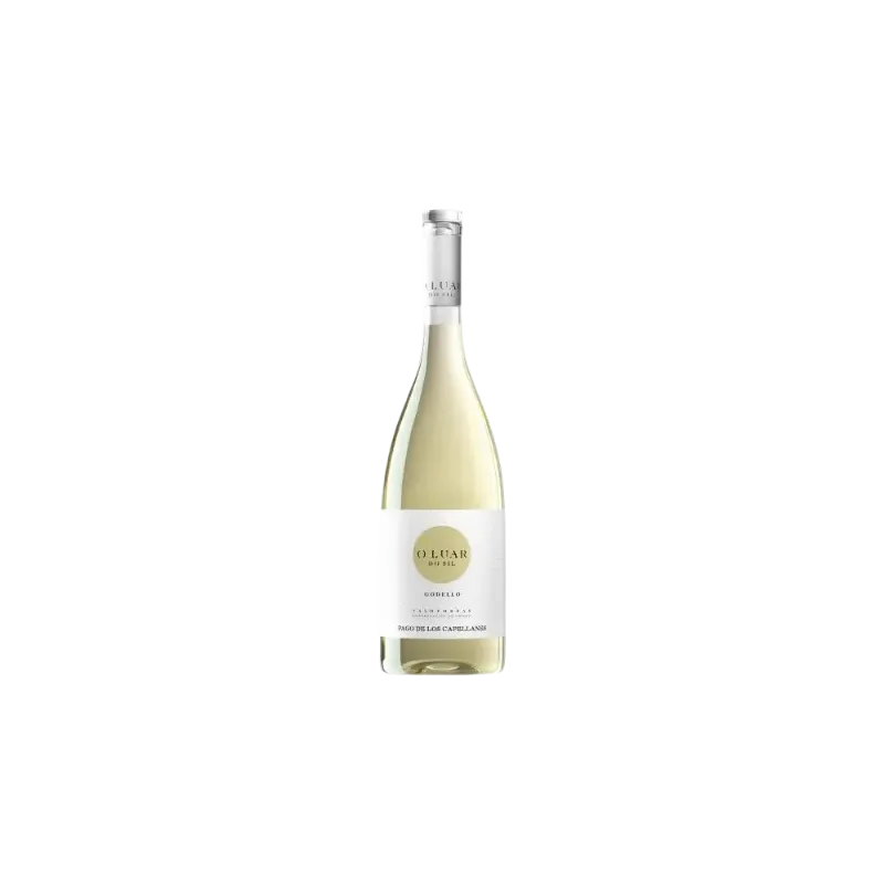 O Luar do Sil Godello Valdeorras | Wonderful Wines