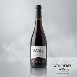 Samu El Curioso Negro Garnacha Rioja | Wonderful Wines