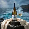 Comprar Vi Garganta del Capitán Albariño | Wonderful Wines