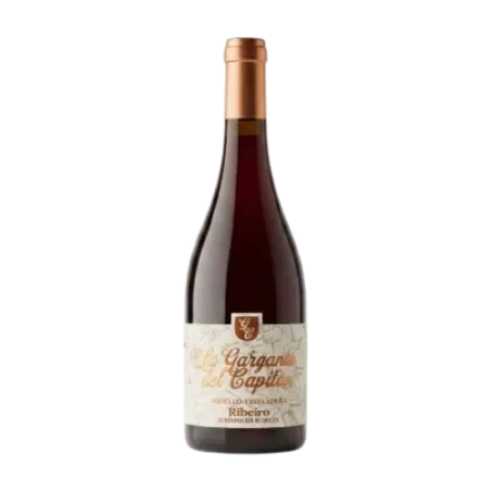 La Garganta del Capitán Godello Treixadura DO Ribeiro | Wonderful Wines