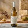 Deler Blanc DO Montsant Grenache & Macabeo | Wonderful Wines