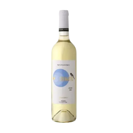 Cromàtic DO Penedès Alsina & Sardà 100% Muscat | Wonderful Wines