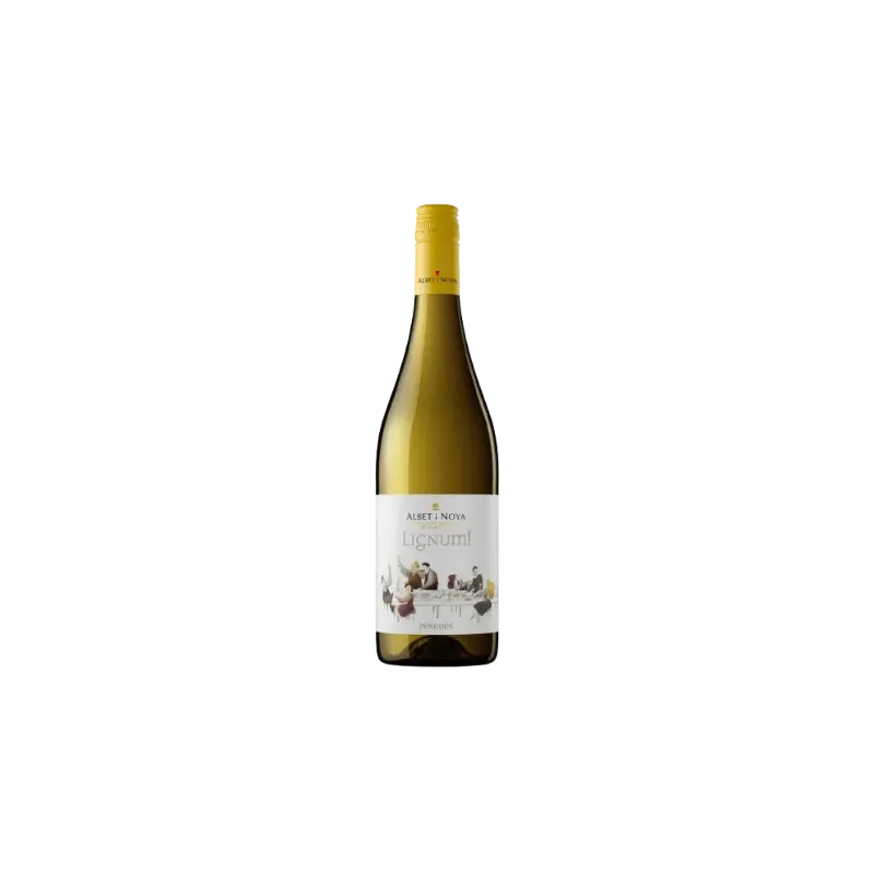 Lignum Blanc DO Penedès Albet i Noya | Wonderful Wines