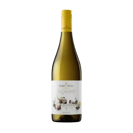 Lignum Blanc DO Penedès Albet i Noya | Wonderful Wines