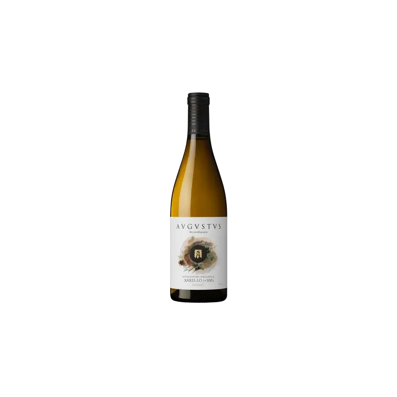 Avgvstvs Microvinificación Xarel·lo (+100) DO Penedès | Wonderful Wines
