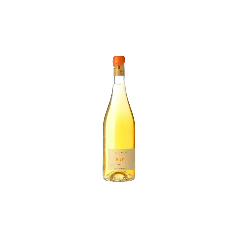 Pur Torre de Veguer Orange Wine Malvasia de Sitges | Wonderful Wines