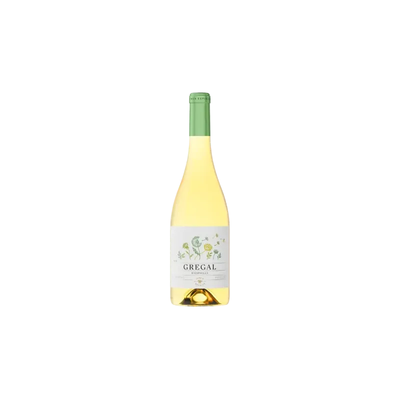 Gregal d'Espiells Juvé & Camps DO Penedès | Wonderful Wines
