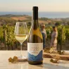 La Batalla de Salado VT Cádiz Vino Blanco | Wonderful Wines