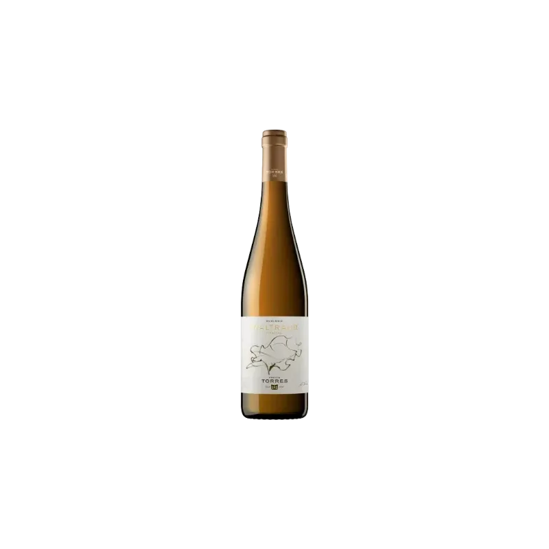 Waltraud Riesling Familia Torres DO Penedès | Wonderful Wines