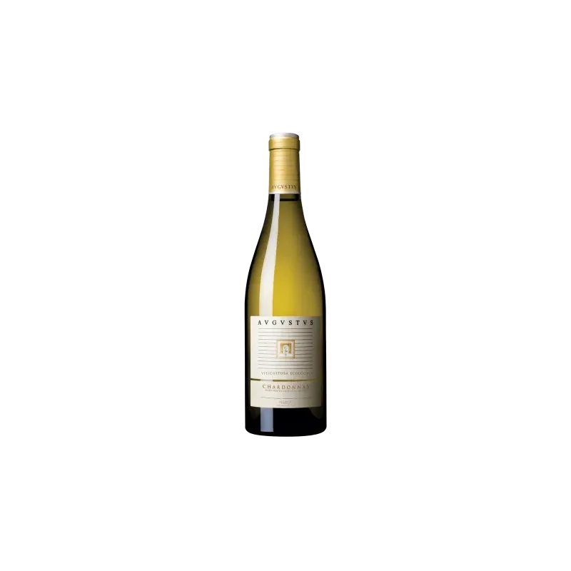 Avgvstvs Chardonnay Celler Avgvstvs Forvm DO Penedès | Wonderful Wines