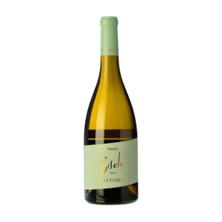 Mastinell Gisele Xarel·lo DO Penedès | Wonderful Wines