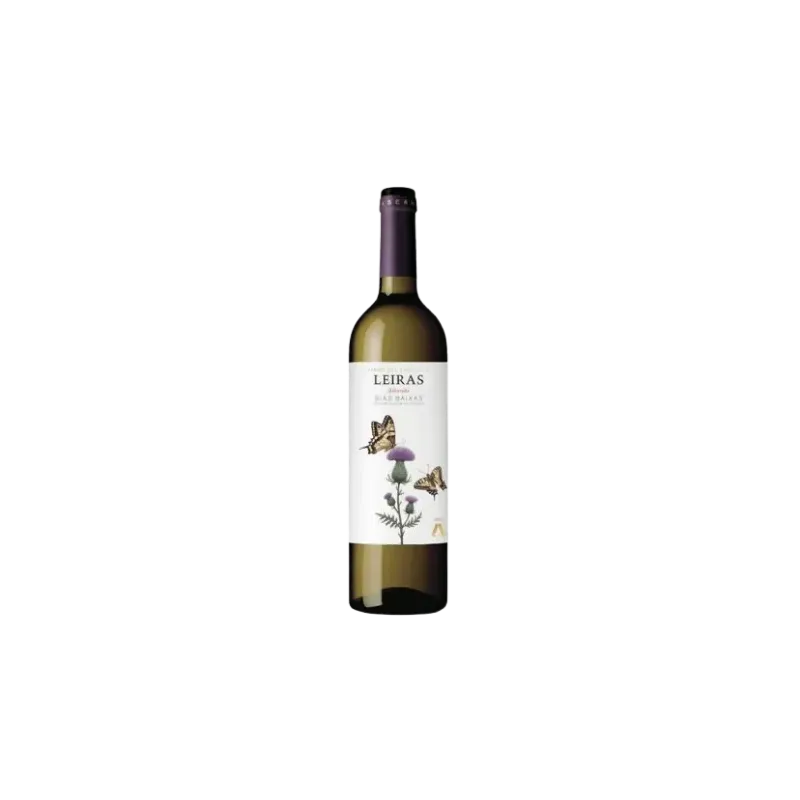 Leiras Albariño DO Rías Baixas | 15 Bodegas | Wonderful Wines