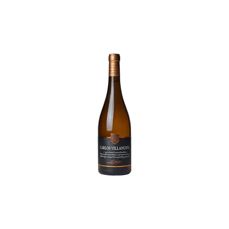 Carlos Villanueva DO Ribeiro | Wonderful Wines
