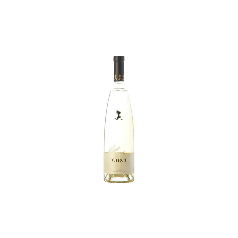 Circe Verdejo DO Rueda | Wonderful Wines