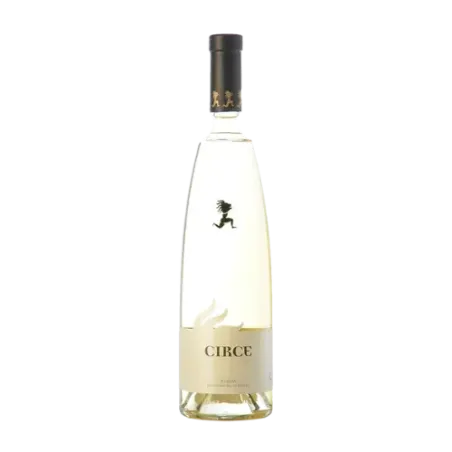 Circe Verdejo DO Rueda | Wonderful Wines