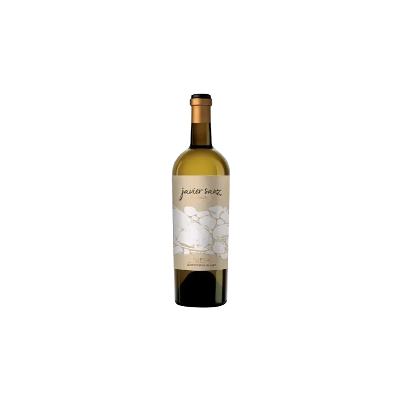 Javier Sanz Sauvignon Blanc DO Rueda | Wonderful Wines