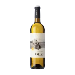 Bestué Chardonnay DO Somontano | Wonderful Wines