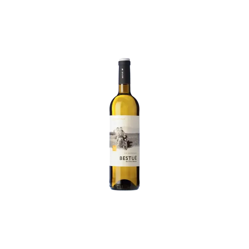 Bestué Chardonnay DO Somontano | Wonderful Wines